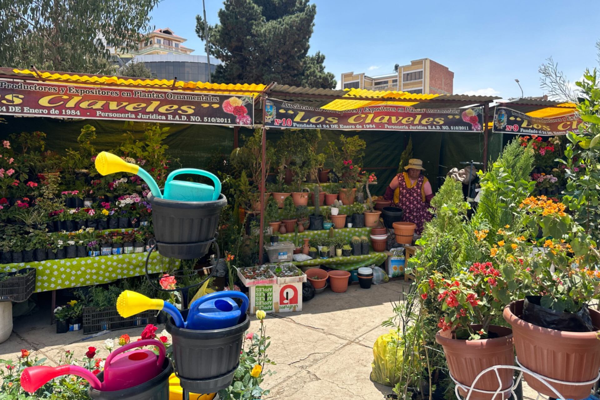 Feria de plantas