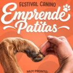 Emprende Patitas