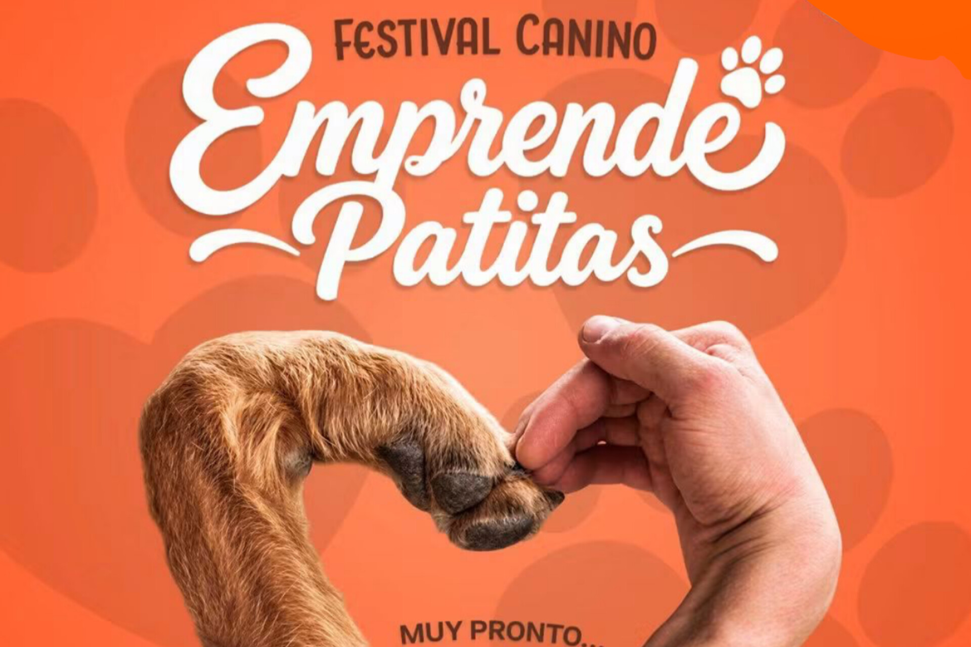 Emprende Patitas